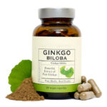 Ginkgo Biloba Supplements 500 mg Extra Strength Supports Brain Function & Memory-Not for Pregnant Women Capsules